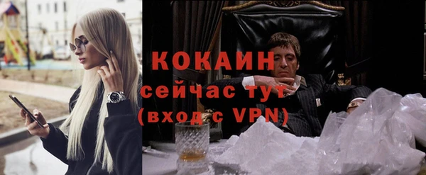 стафф Михайловск