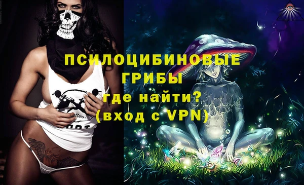 стафф Михайловск