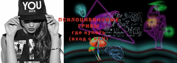 стафф Михайловск