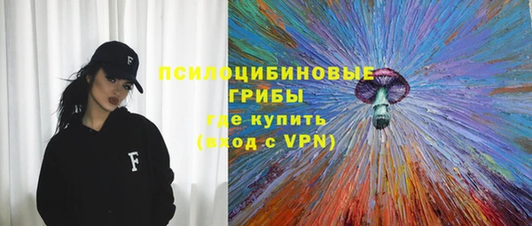 тгк Мегион