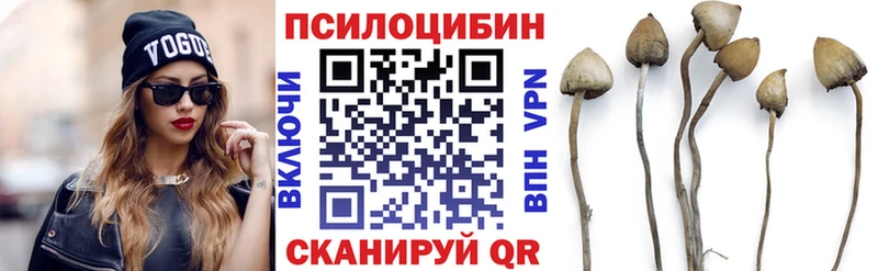 Галлюциногенные грибы Cubensis  Купить где  Курильск 